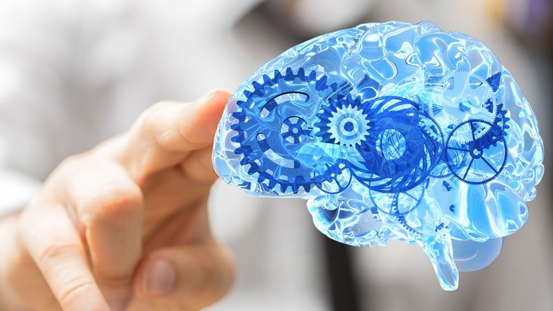 What is a nootropic? on Design By Pixl