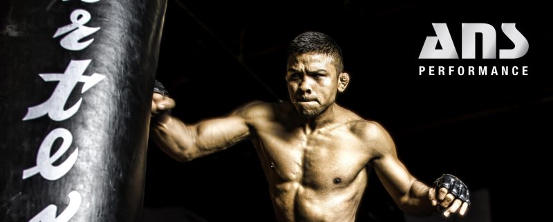 BIBIANO ‘THE FLASH’ FERNANDES to Defend Title August 5th 2017 in Macau! on Design By Pixl